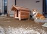 噛み癖のあるコーギー犬の犬小屋。丈夫な厚板で製作しました。 噛み癖のあるコーギー犬の犬小屋